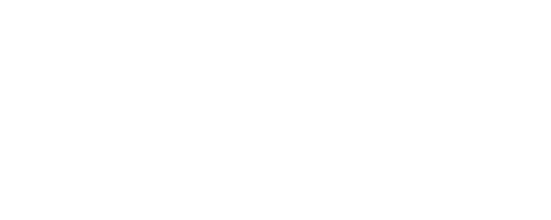 NavInfo